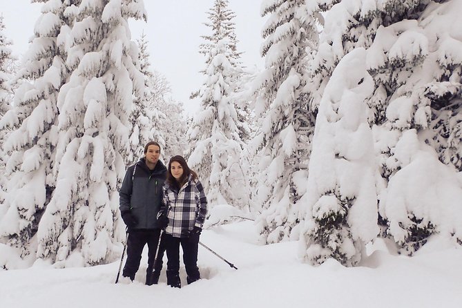 Guided Snowshoe Walk on Tromsoya Island in Tromso - Key things that make this snowshoe walk worth your time