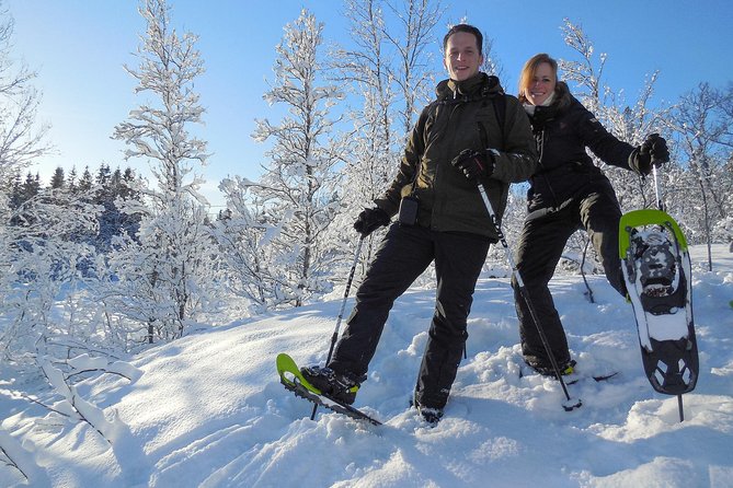 Guided Snowshoe Walk on Tromsoya Island in Tromso - Snowshoes on Tromsøya, without route-planning stress