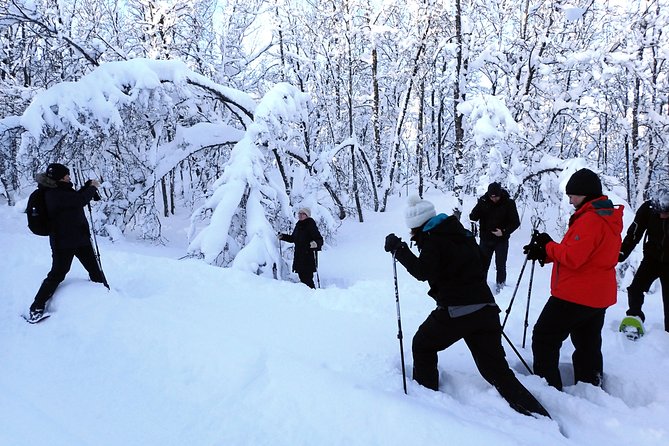 Guided Snowshoe Walk on Tromsoya Island in Tromso - Meeting point and the short drive that sets the tone
