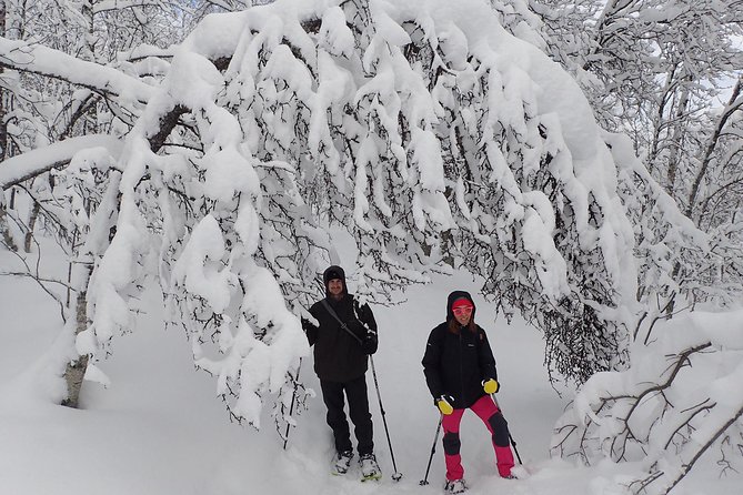 Guided Snowshoe Walk on Tromsoya Island in Tromso - First lesson: how snowshoes and poles make the walk simple