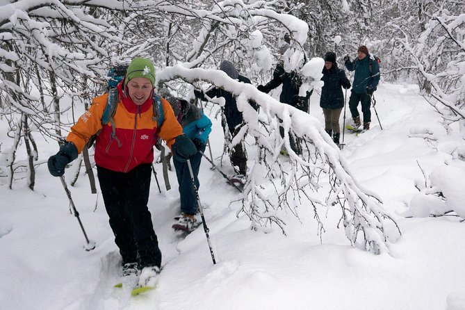 Guided Snowshoe Walk on Tromsoya Island in Tromso - Price and what you actually get for $118.77