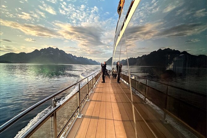 Guided Summer Arctic Light Cruise from Tromsø - Key highlights you’ll actually feel during the cruise