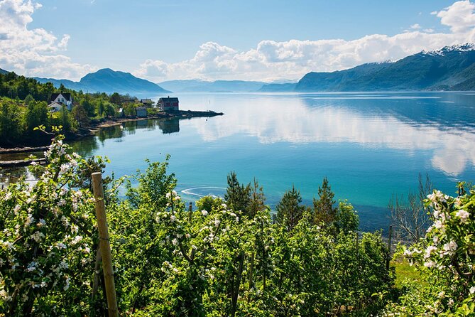 Guided tour - Hardangerfjord, Voss Gondola & 3 Great Waterfalls - Skjervsfossen Waterfall: A 60-Meter Drop to Start the Waterfall Chase