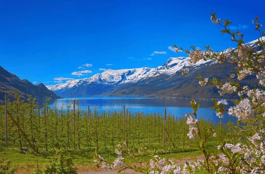 Guided tour: Hardangerfjord, Waterfalls and Ferry crossing - Norheimsund lunch break: where the fjord slows down for a meal