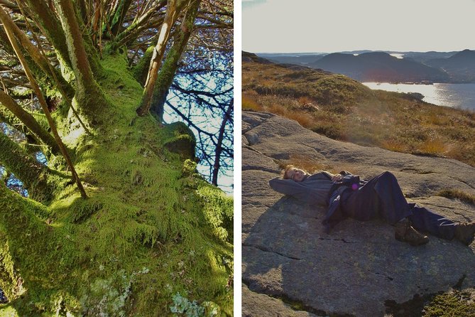 GUIDED TOUR: Hiking to Stoltzekleiven - The climb to Sandviksfjellet and the weather vane zone