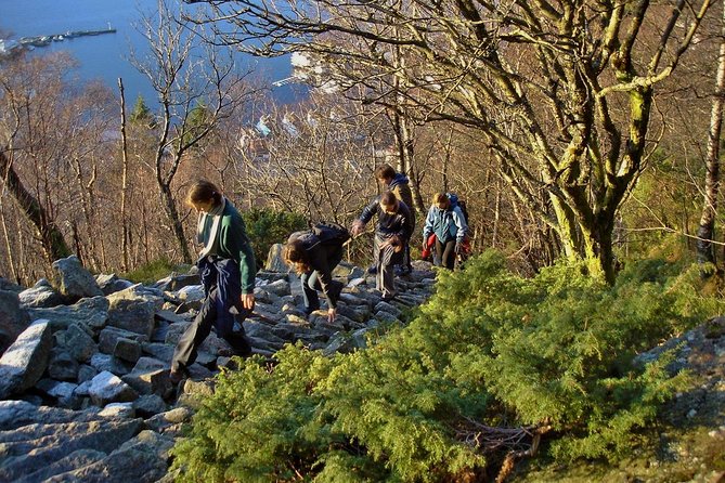 GUIDED TOUR: Hiking to Stoltzekleiven - Views and the guide’s role: pace, patience, and real-time trail advice