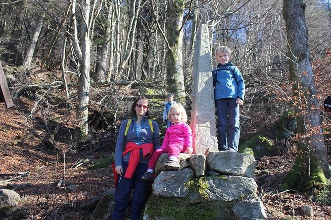 GUIDED TOUR: Hiking to Stoltzekleiven - Meeting point and timing: get your Bergen morning to make sense
