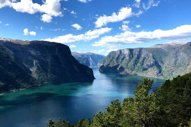Guided Tour To Nærøyfjorden, Flåm And Stegastein - Viewpoint Cruise - Bergen Start Point and How the Timing Feels