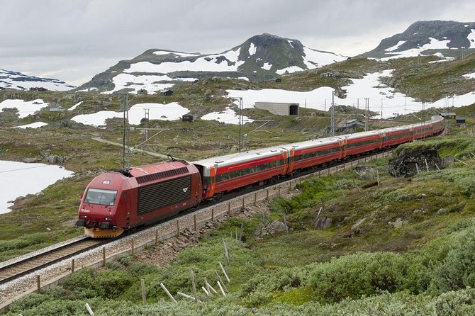 Guided tour - Viking Village, Nærøyfjord Cruise and Flåm Railway - Flåm Railway to Myrdal: the steep train ride that sells itself