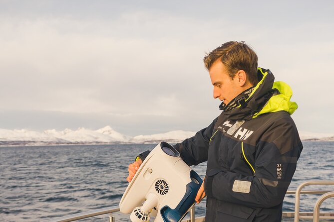 Half Day Arctic Fjord Cruise from Tromso - Key highlights worth your attention