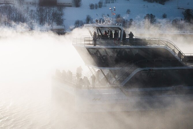 Half Day Arctic Fjord Cruise from Tromso - Timing, group size, and what it feels like on board