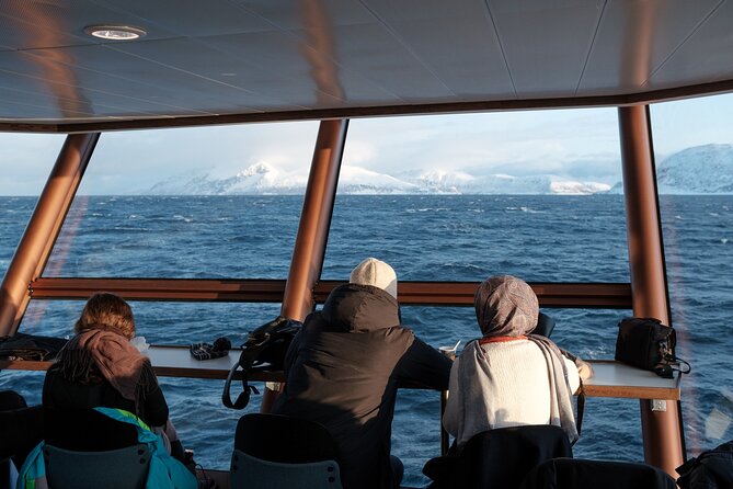 Half Day Arctic Fjord Cruise from Tromso - What to wear and when to go for better fjord photos