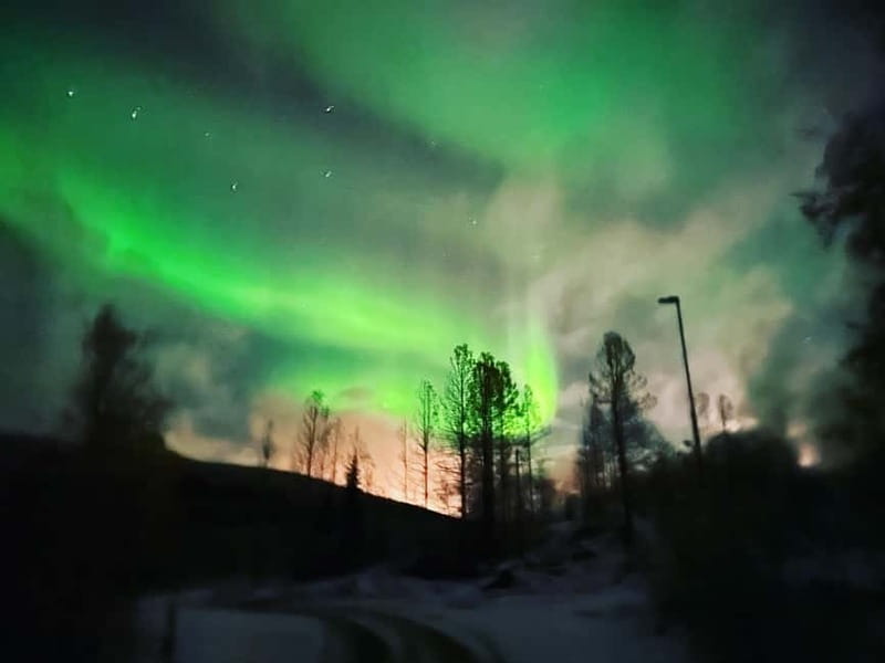 Harstad/Narvik: Northern Lights Tours with Second Day Chance - The aurora hunt after dark: how the search actually works
