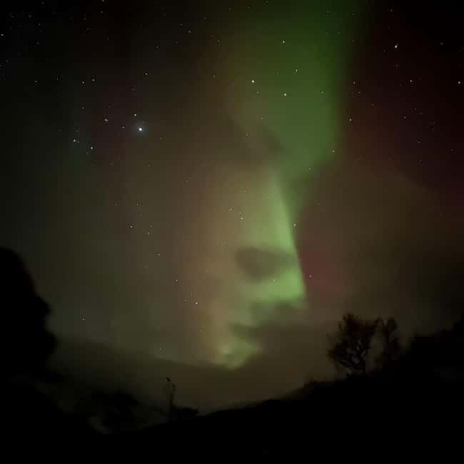 Harstad/Narvik: Northern Lights Tours with Second Day Chance - Second day chance: your weather insurance, built into the price