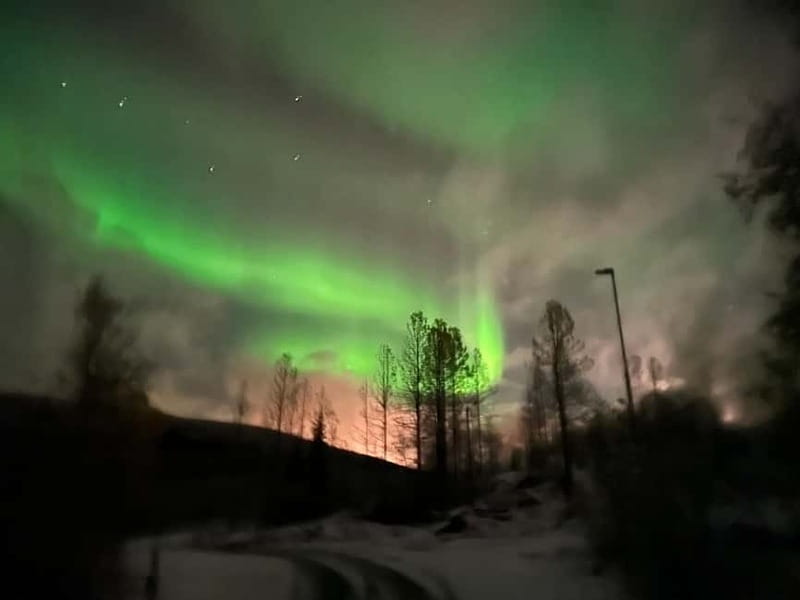 Harstad/Narvik: Northern Lights Tours with Second Day Chance - Price and value: what $272 per person is really buying