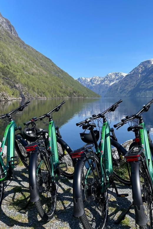 Hellesylt to Norangsdalen: Scenic E-Bike Tour - Key things I’d bookmark before you go