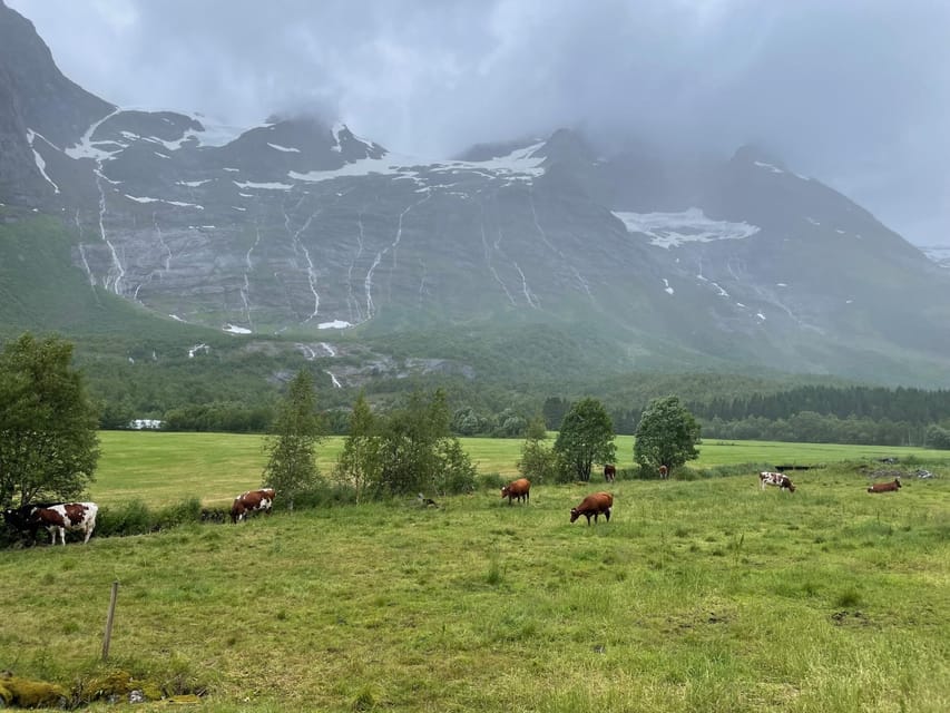 Hellesylt to Norangsdalen: Scenic E-Bike Tour - Who this tour fits best, and who should skip it