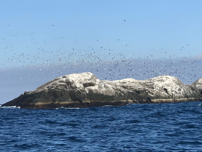 Honningsvåg: North Cape King Crab & Arctic Wildlife Safari - FAQ