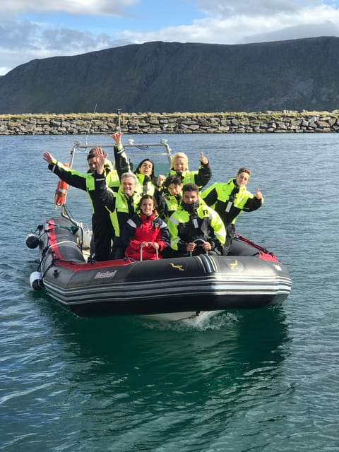 Honningsvåg: North Cape King Crab & Arctic Wildlife Safari - The Three-Hour Timing: Great When It Clicks, Tricky When It Does Not
