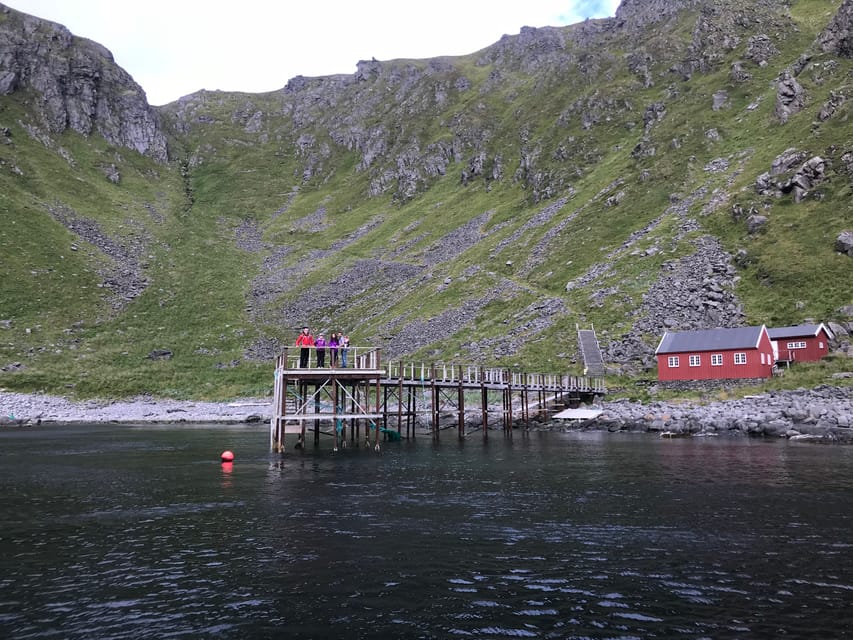 Honningsvåg: North Cape King Crab & Arctic Wildlife Safari - Who This Tour Fits Best (And Who Should Skip It)