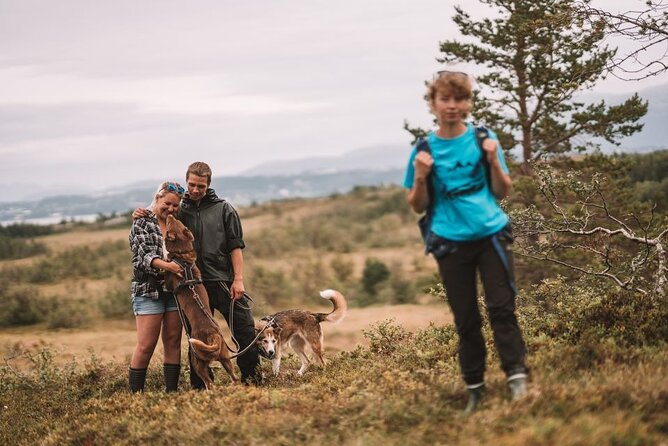 Husky Hike and Puppy Visit with Lunch - Key Highlights You’ll Actually Care About