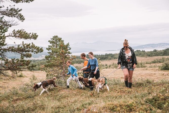 Husky Hike and Puppy Visit with Lunch - Why A Tromsø Husky Hike Feels Different Than Typical Dog Tours