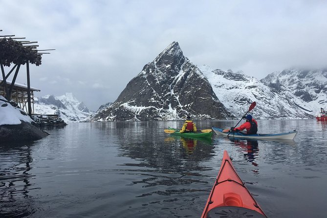 Kayaking in Reinefjorden - Small-Group Attention and Coaching That Shows Up Fast