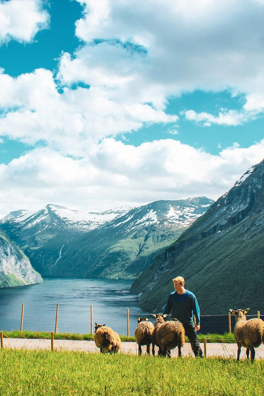 Ljøen, Hellesylt: Ljøen Farm Tour - Worlds Best Views Over Three Fjords: What to Look For