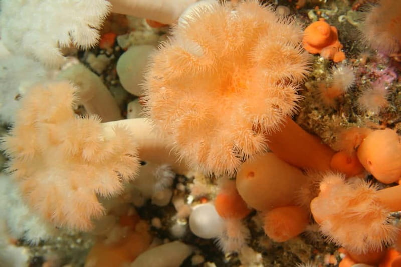 Lofoten: First Time Scuba Diving Experience - The surface safety briefing: your real start, not “small talk”