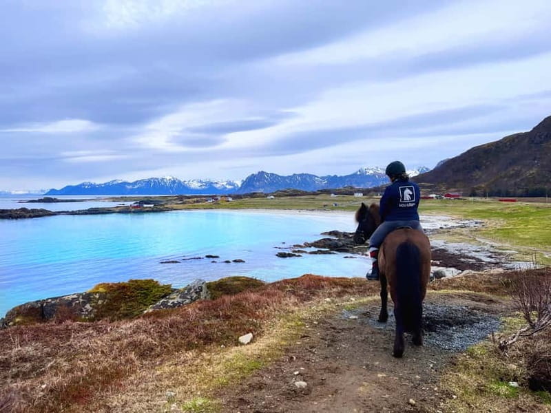 Lofoten: Guided Horse Riding Tour Over Hov and Hovsund - Key highlights you will actually care about