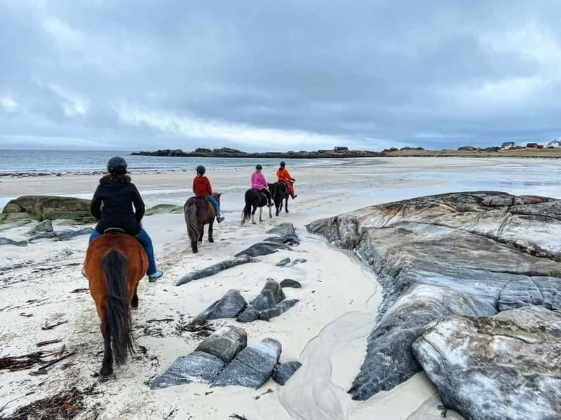 Lofoten: Guided Horse Riding Tour Over Hov and Hovsund - Riding at a relaxed pace across Hov, the Arctic beach section