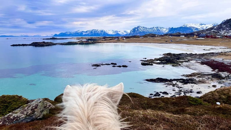 Lofoten: Guided Horse Riding Tour Over Hov and Hovsund - Viking remnants along the route: small sightings that add up