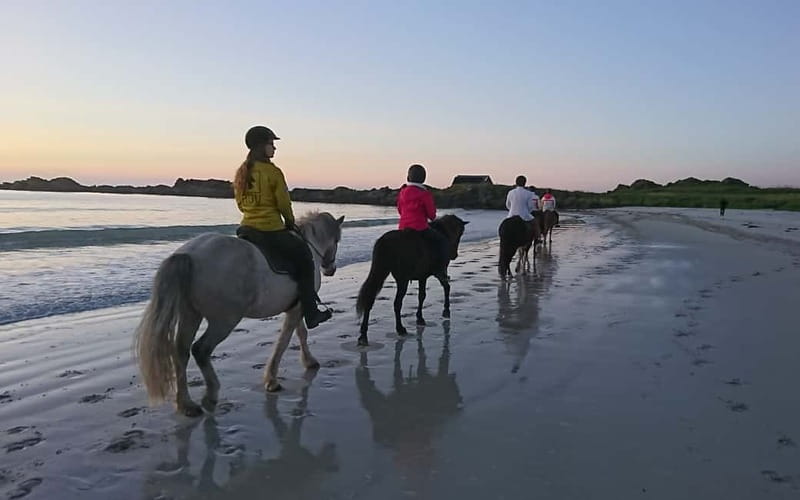 Lofoten: Guided Horse Riding Tour Over Hov and Hovsund - Price and value: what $145 gets you (and why it can be a smart spend)