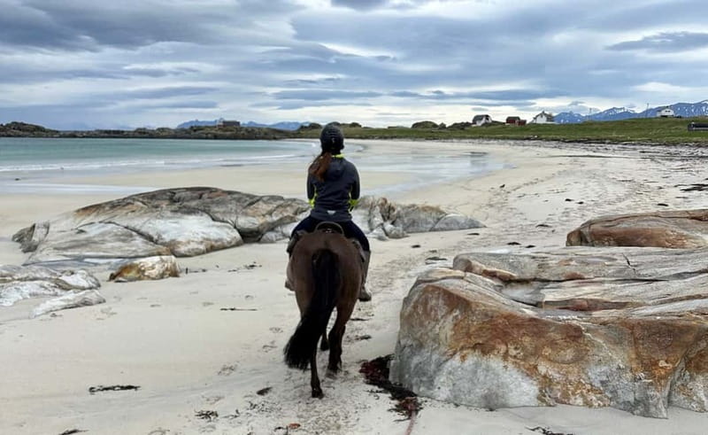 Lofoten: Guided Horse Riding Tour Over Hov and Hovsund - Who should book this ride, and who should skip it