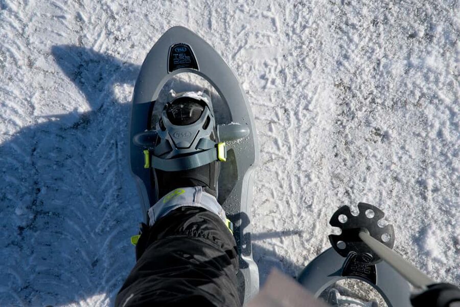 Lofoten: Guided Mountain Snowshoe Adventure - Glomtinden or Kleppstadheia: How the Route Choice Changes Your Day