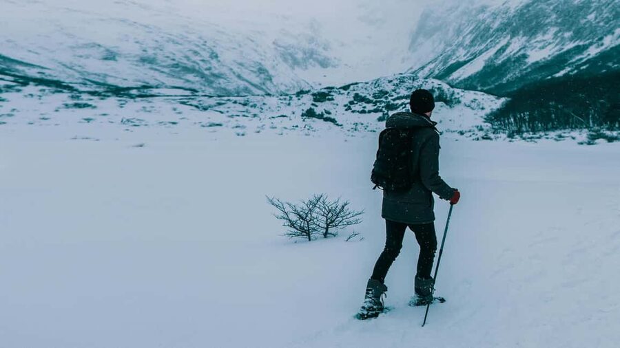 Lofoten: Guided Mountain Snowshoe Adventure - Snowshoeing for Beginners: What You Actually Need to Know