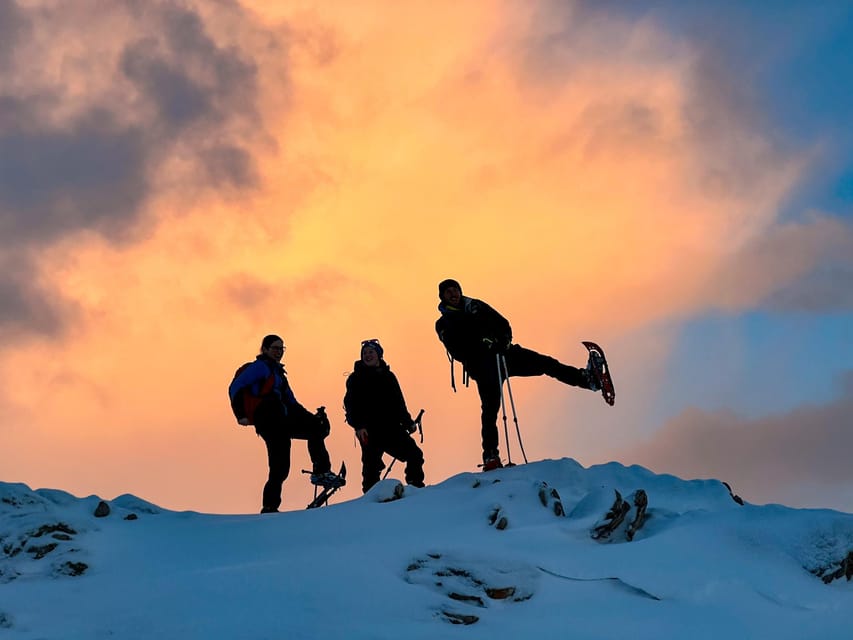 Lofoten: Half Day Snowshoe Tour - Why Lofoten Snowshoeing Feels Like the Real Thing in 4 Hours