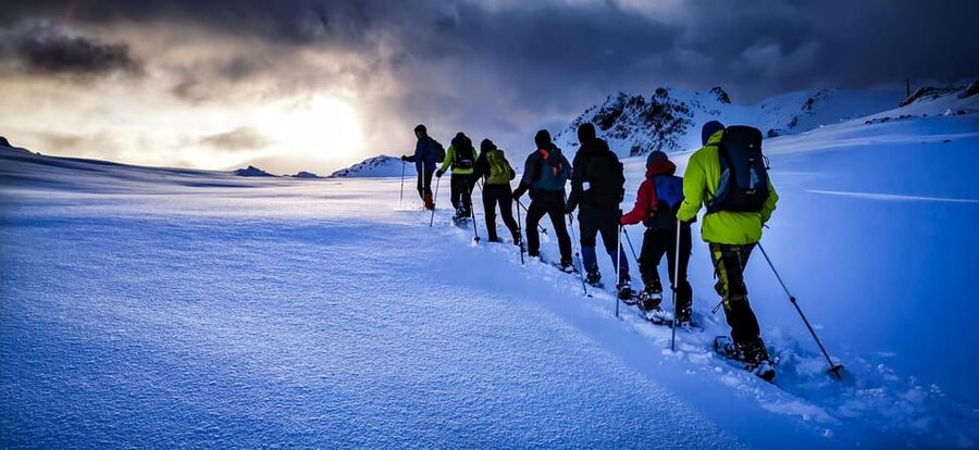 Lofoten: Half Day Snowshoe Tour - Price and Value: Why $103 Can Make Sense Here