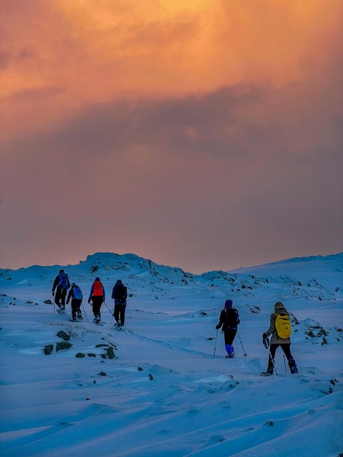 Lofoten: Half Day Snowshoe Tour - Gear, Instruction, and How to Dress So You Stay Comfortable