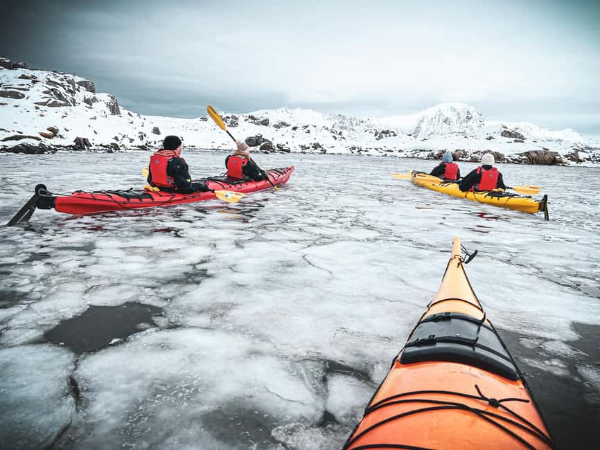 Lofoten: Half-Day Winter Kayak Adventure - Key things to know before you paddle in Eggum