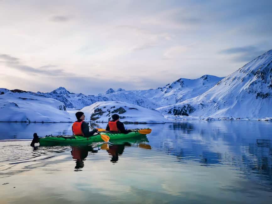 Lofoten: Half-Day Winter Kayak Adventure - Breaks with hot drinks and snacks, plus wildlife spotting stops