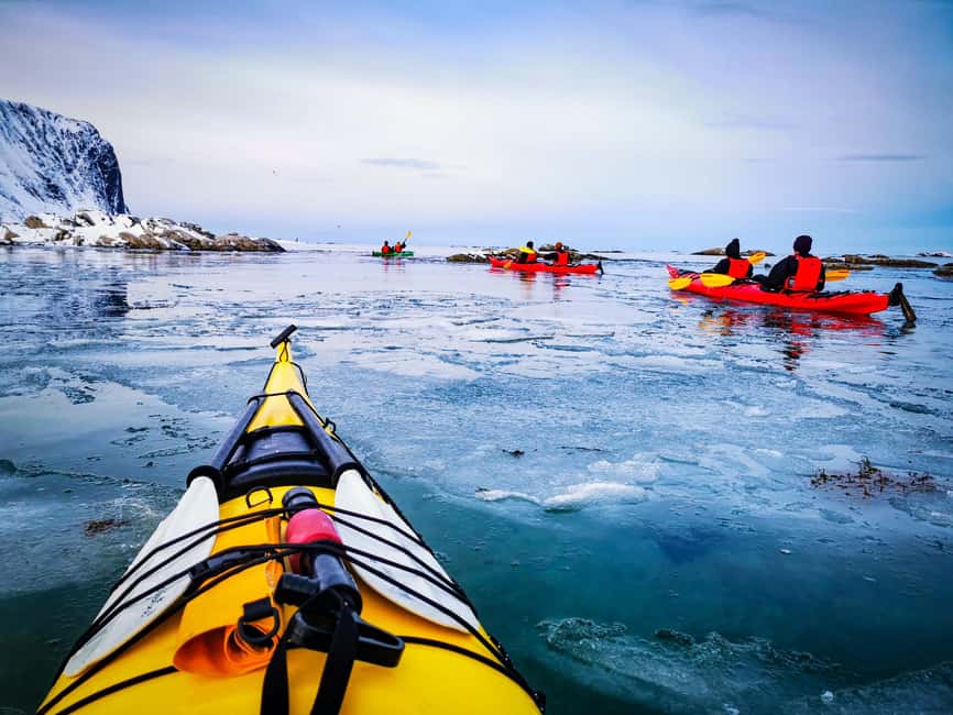 Lofoten: Half-Day Winter Kayak Adventure - Price and value: what $115 gets you in a winter setting