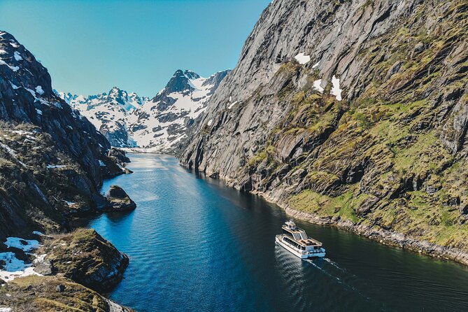 Lofoten Island: Silent Trollfjord Cruise from Svolvær - Quick Picks