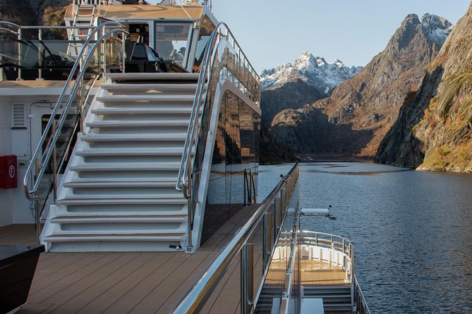 Lofoten Island: Silent Trollfjord Cruise from Svolvær - Trollfjord Stop: Eagles Over the Fjord and the Underwater Drone