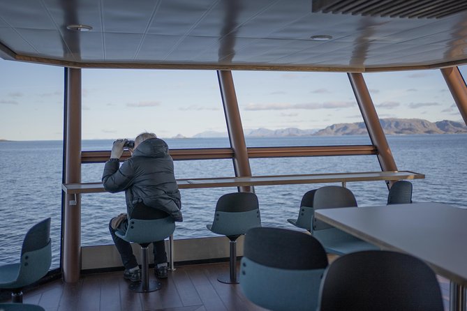 Lofoten Island: Silent Trollfjord Cruise from Svolvær - Weather, Visibility, and Why Your Trip Might Feel Different Each Time