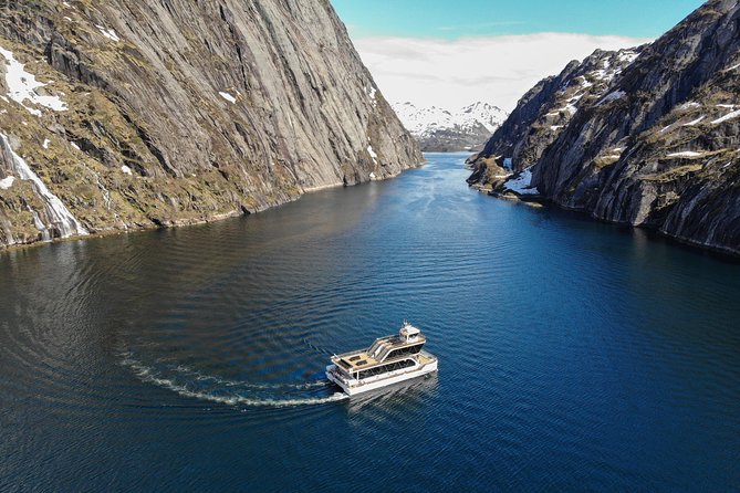 Lofoten Island: Silent Trollfjord Cruise from Svolvær - Group Size, Pace, and What 3 Hours Feels Like