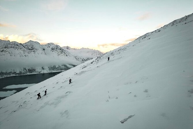 Lofoten Islands: Guided Snowshoeing Tour - Uphill version - The Main Climb: 2 Hours Guided Uphill Through Winter Terrain