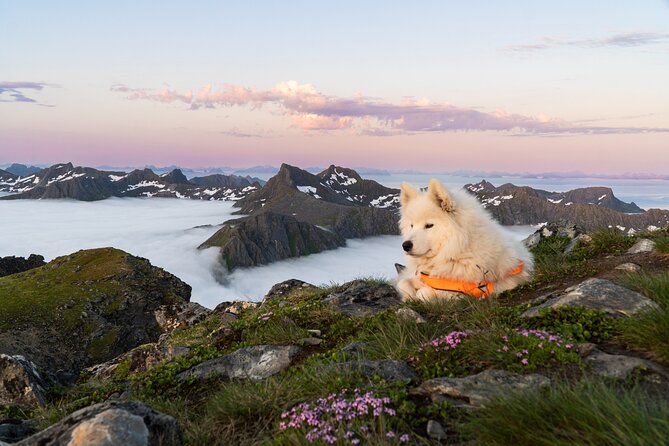 Lofoten Islands: Hiking Into the Wilderness - Fitness level: who this hike suits best