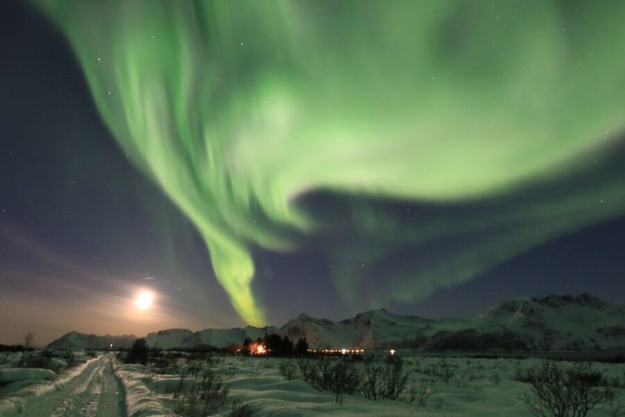 Lofoten: Northern Lights Tour with Photographer - Price and value: why $152 can make sense for your first aurora attempt
