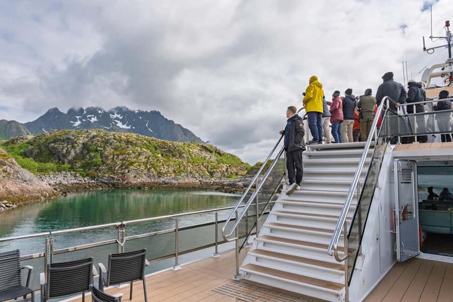 Lofoten: Sea Eagle Sunset Cruise - Why $82 for 90 minutes can be good value